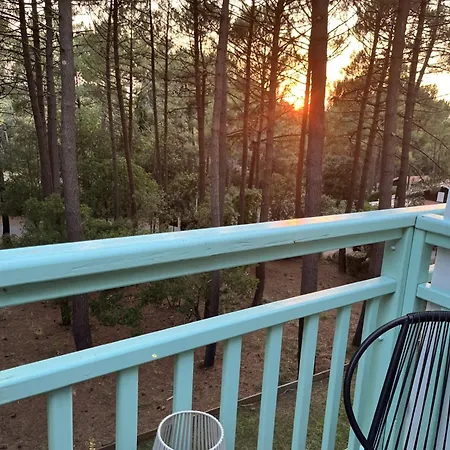 Apartment La Perle Des Pins