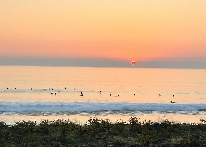 Apartman La Perle Des Pins Lacanau