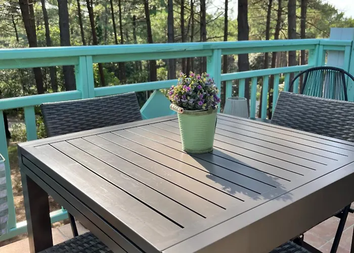 La Perle Des Pins Apartman Lacanau