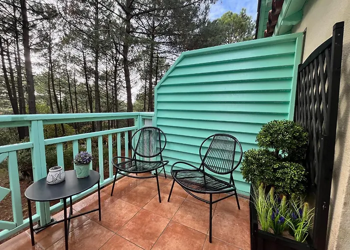 La Perle Des Pins Lacanau